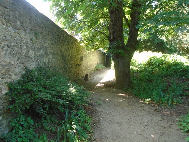 Rough path near the high wall and the rock garden