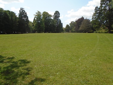 Large green open area surrounded by trees.