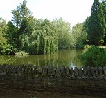 Small attractive lake