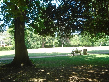 peaple sitting in the shate and overlooking the open area in bright sun.