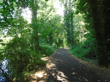 Path by Mill Stream