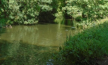 Mill Stream