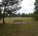 Bench overlooking open area of park