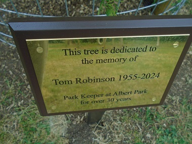 Gold plated plaque agains memorial tree