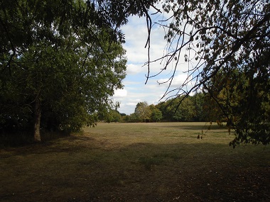 View through trees to open area