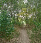 path