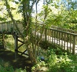Mill Stream bridge