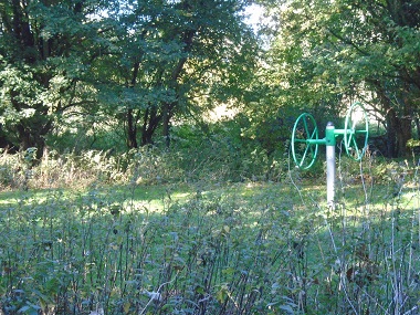 Exercise equipment hidden in the wooded area
