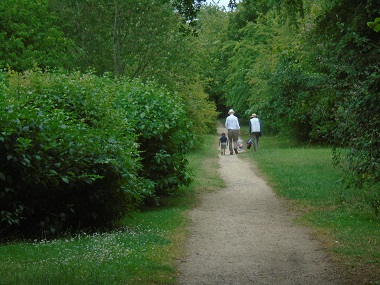 people in long path