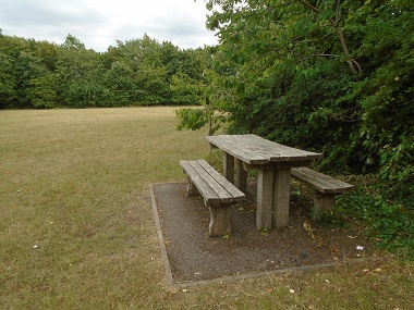 picnic banch