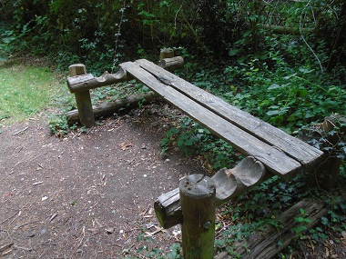 rustic bench