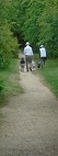 people on long path