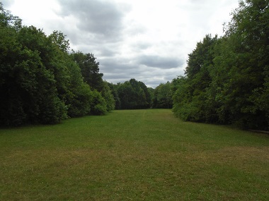 Large open green area flanked by mature trees