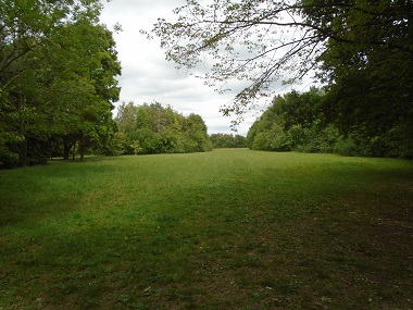 Large open green area flanked by mature trees
