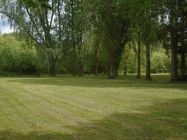 Open grass area flanked by tall trees