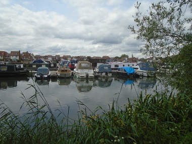 View of small poats in marina
