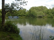 Thames view