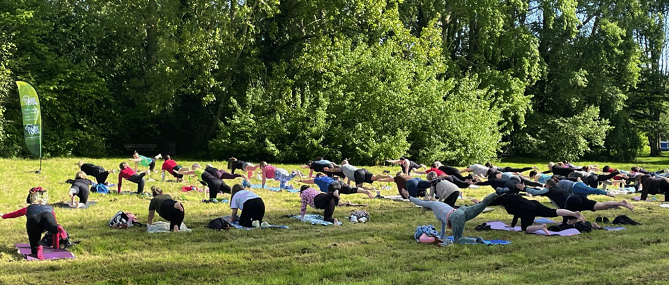 Yoga session in the park